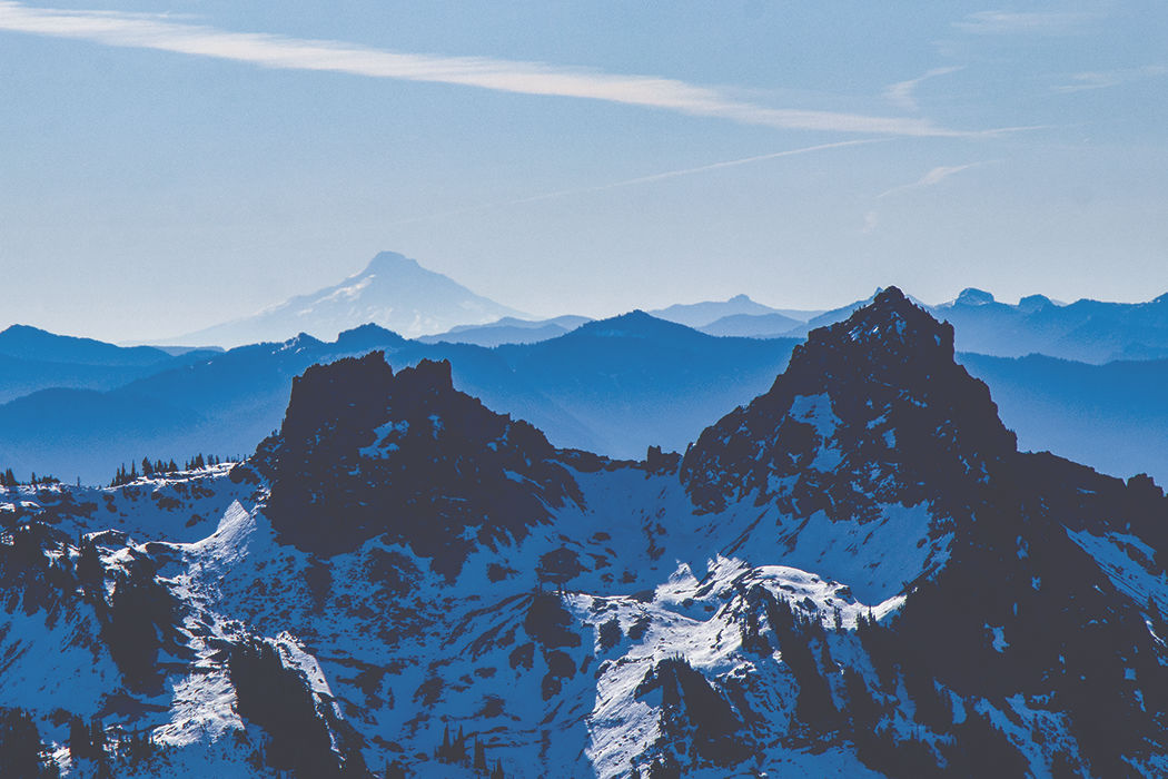 Photos: From Paradise in Mount Rainier National Park